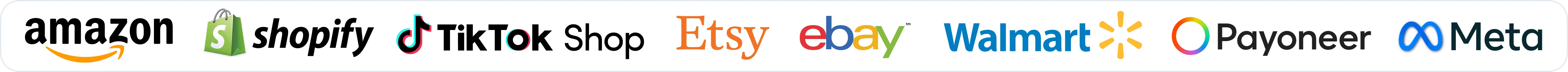 Amazon, Shopify, TikTok Shop, Etsy, eBay, Walmart, Payoneer and Meta